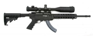 ruger_sr22_1200.jpg