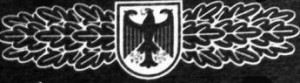gsg9_insignia.jpg
